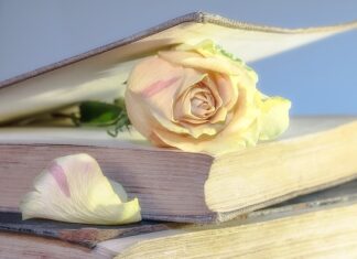 Czy warto kupić używaną Toyotę Prius?