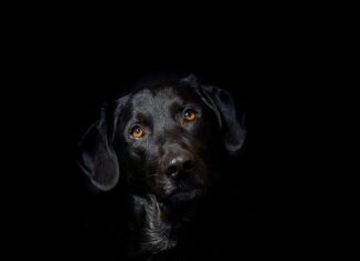 Czy hybryda działa na zimnym silniku?